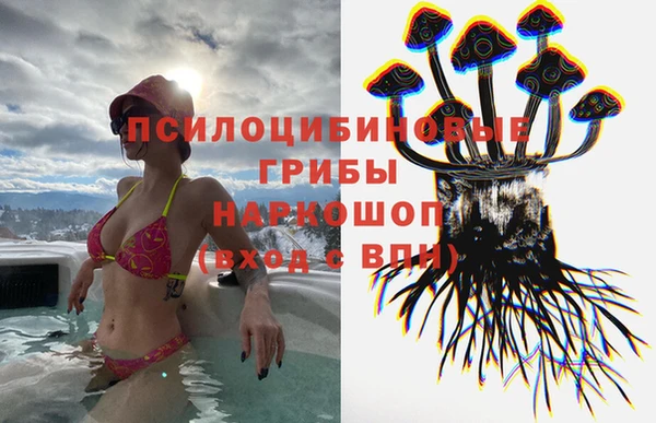 стафф Няндома