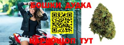 шишки Берёзовский