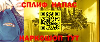 шишки Берёзовский