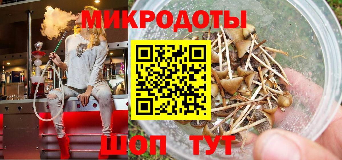 Псилоцибиновые грибы мицелий  Галлюциногенные грибы Psilocybe  Вход с VPN  Азов 